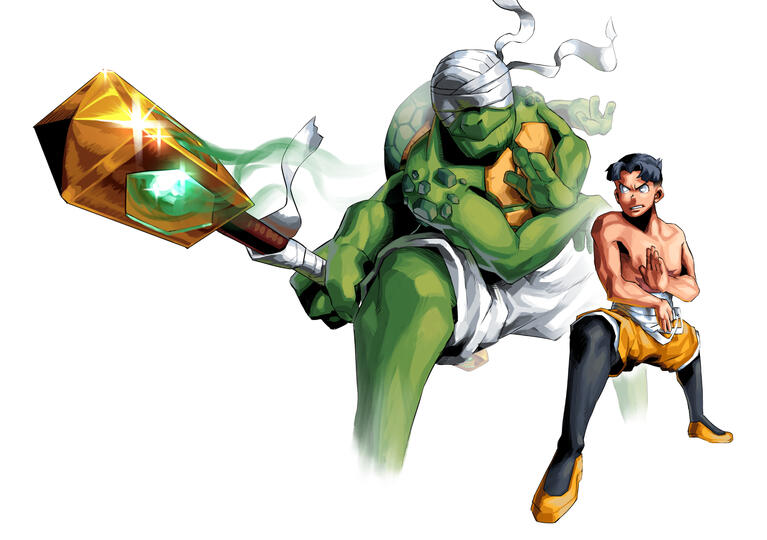 Mimicry of a Tortoise